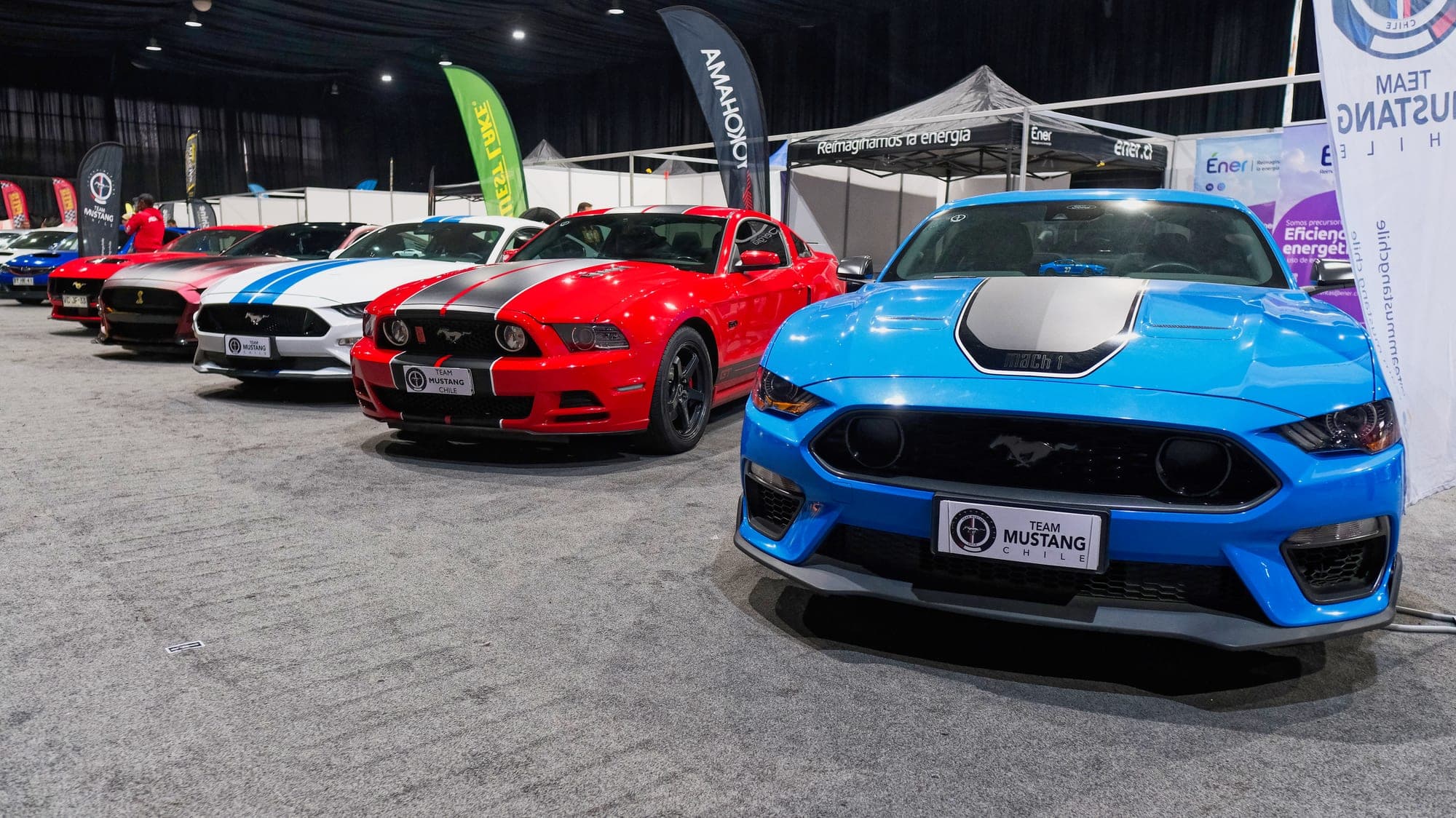 Exhibición de Autos - 388