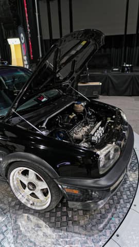 Exhibición de Autos - 371